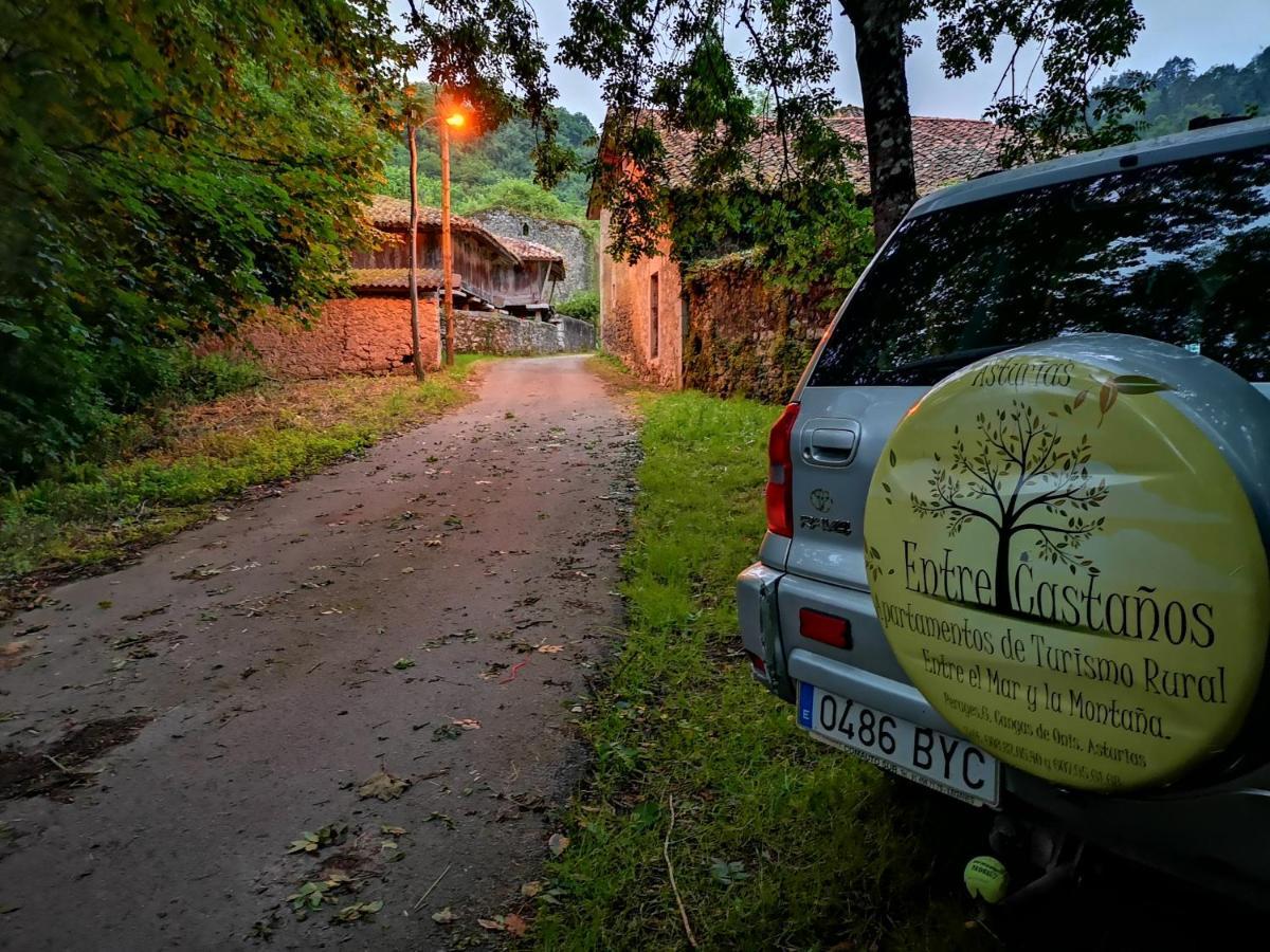 Casas Rurales Entrecastanos กังกัส เด โอนิส ภายนอก รูปภาพ