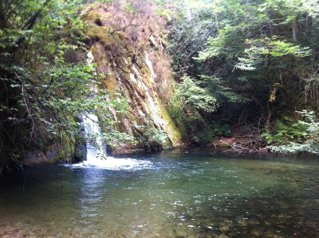 Casas Rurales Entrecastanos กังกัส เด โอนิส ภายนอก รูปภาพ