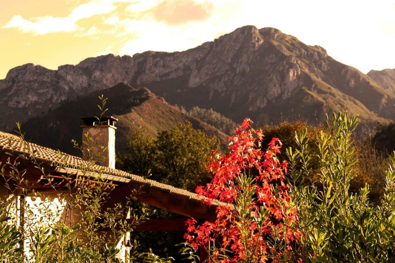 Casas Rurales Entrecastanos กังกัส เด โอนิส ภายนอก รูปภาพ