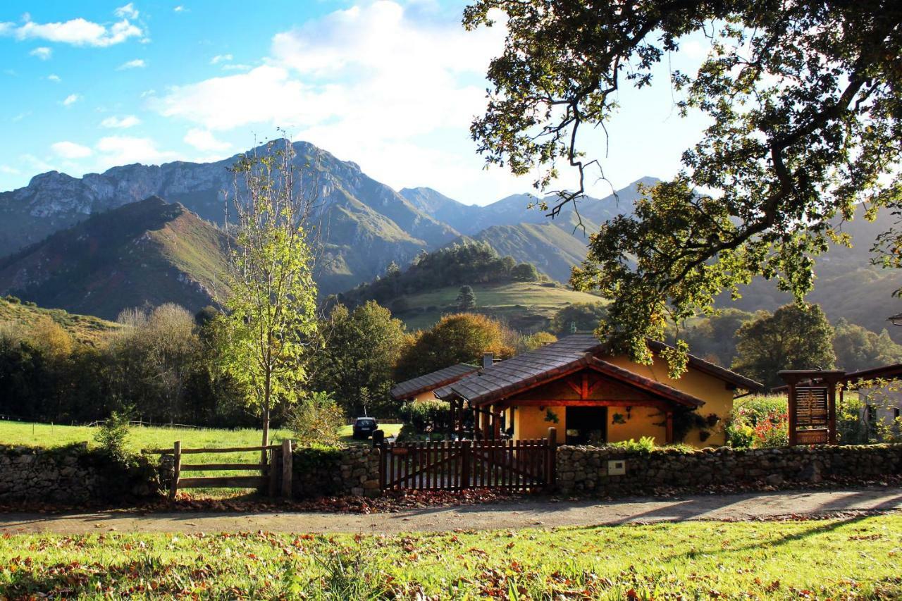 Casas Rurales Entrecastanos กังกัส เด โอนิส ภายนอก รูปภาพ