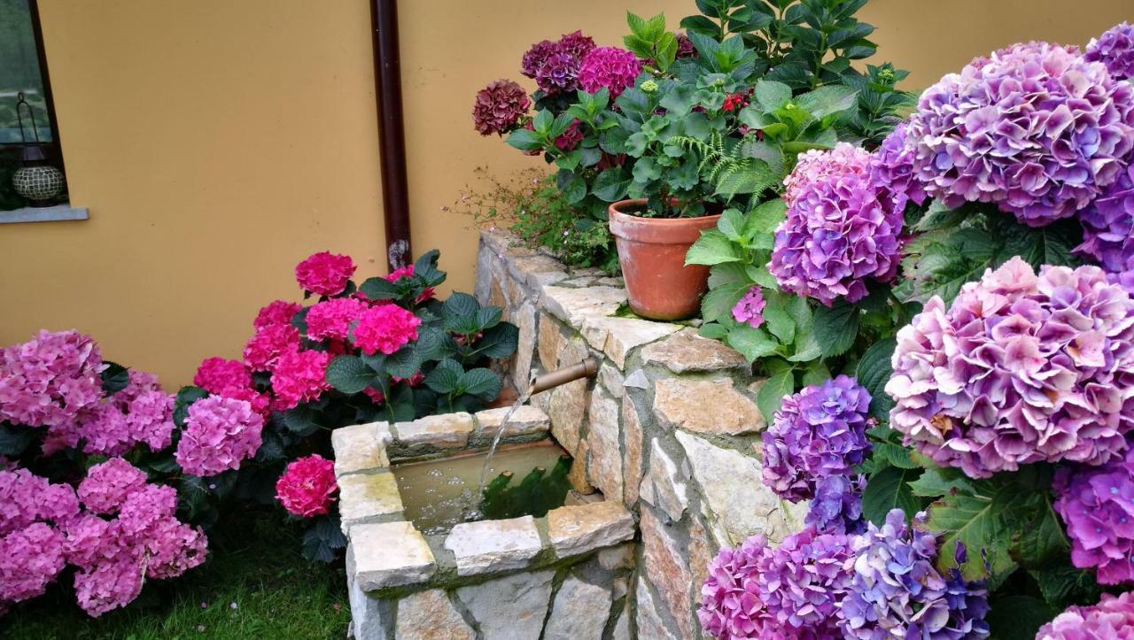 Casas Rurales Entrecastanos กังกัส เด โอนิส ภายนอก รูปภาพ