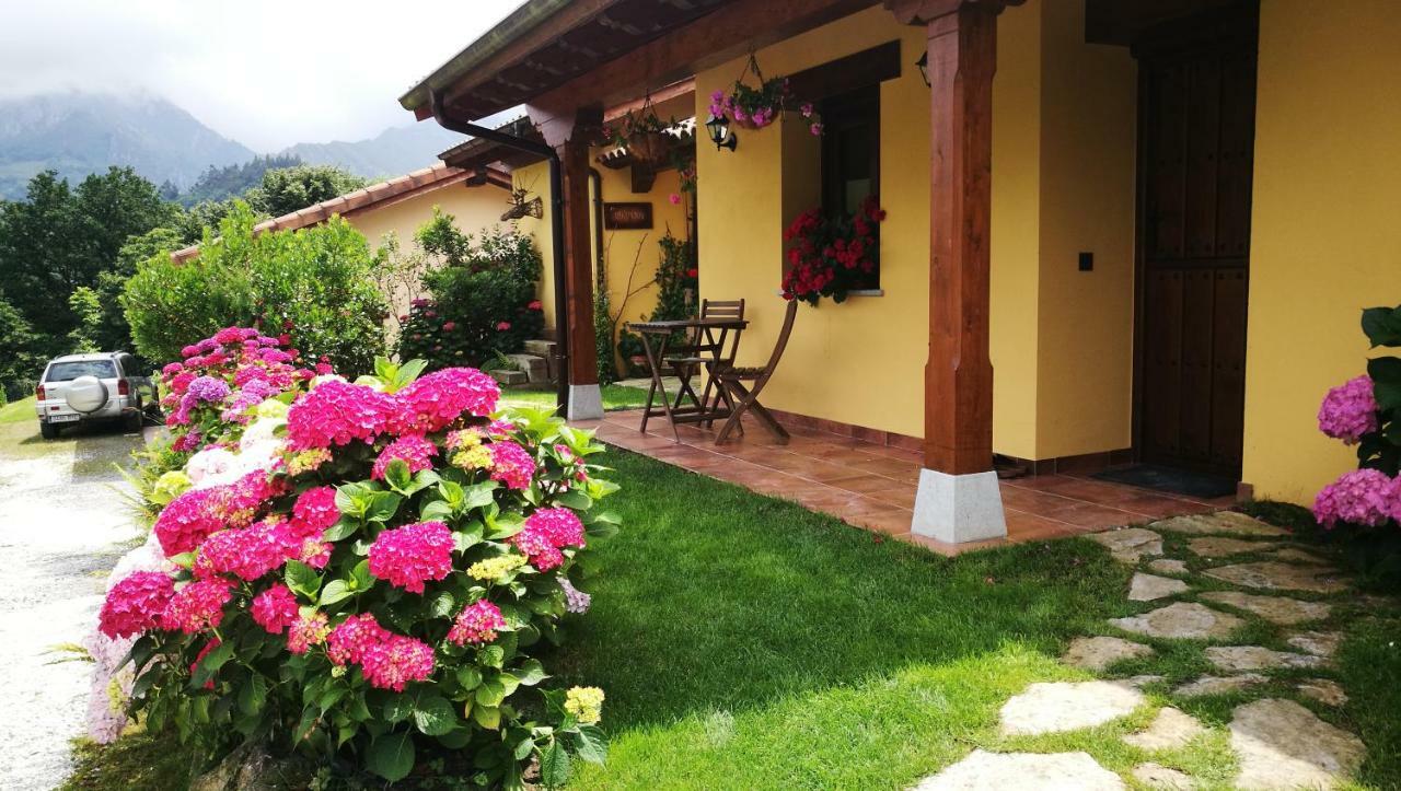 Casas Rurales Entrecastanos กังกัส เด โอนิส ภายนอก รูปภาพ